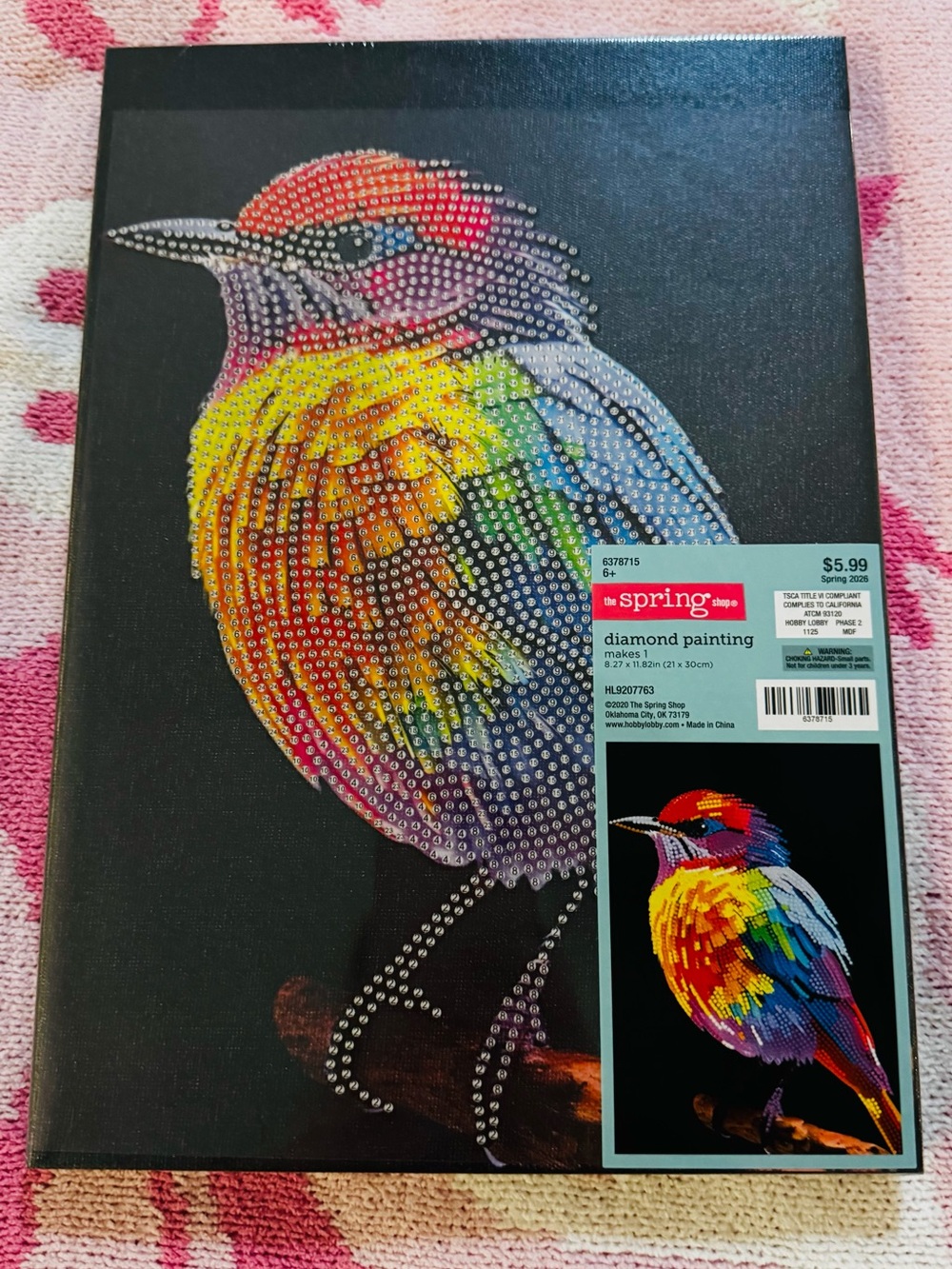 Hobby Lobby Vibrant Rainbow Bird Diamond Painting Kit - Multicolor